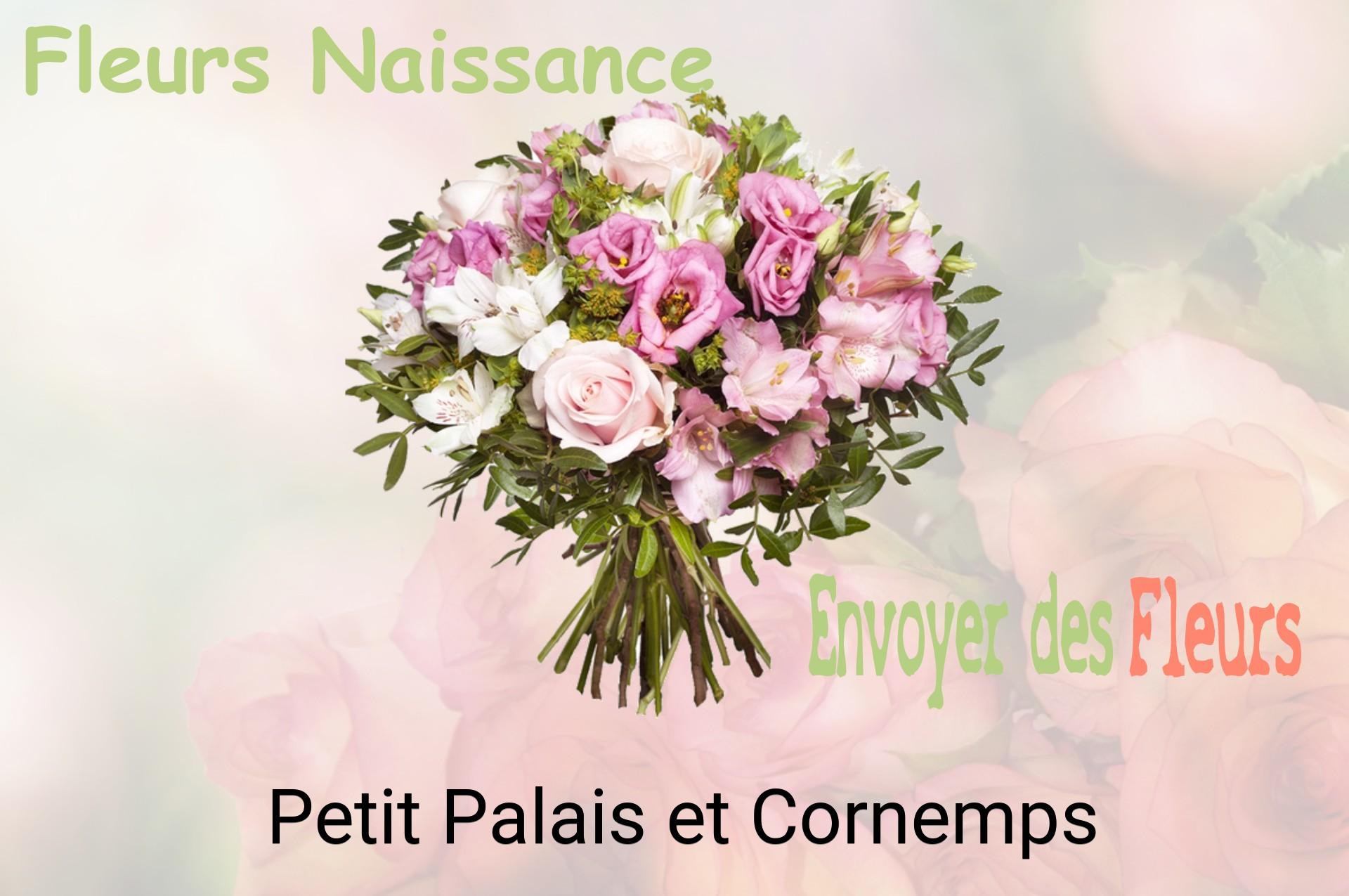 Bouquet de fleurs de naissance livré à Petit-Palais-et-Cornemps